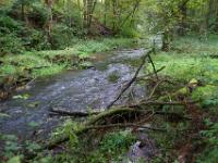 Romantisches Oberes Püttlachtal